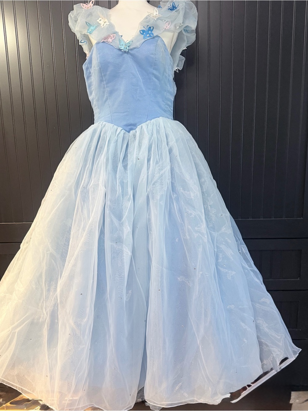 Disney Cinderella Forever Enchanted Tulle Princess Gown with Butterfly Accents